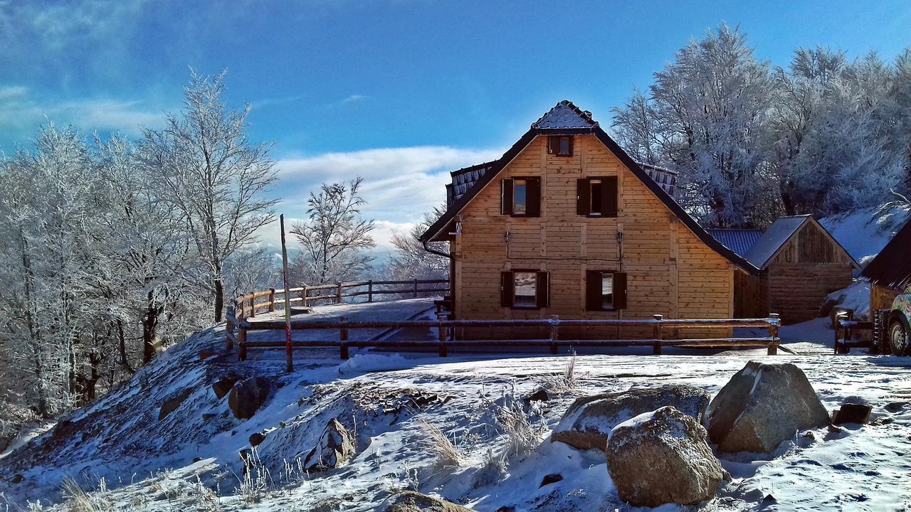Vikendica Vila Despotovic Копаоник Екстер'єр фото