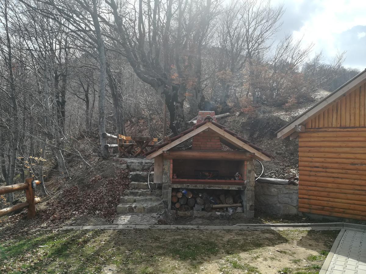 Vikendica Vila Despotovic Копаоник Екстер'єр фото